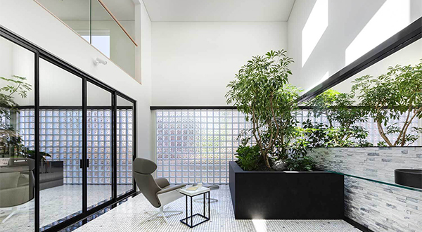 室内庭園を中心とした光きらめく広尾の邸宅