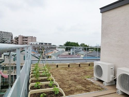 芝生とプランターが設置された屋上の風景