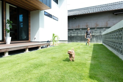 愛犬も嬉しそうに芝の上を走り回る庭