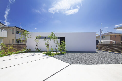 真っ白な四角い平屋の外観