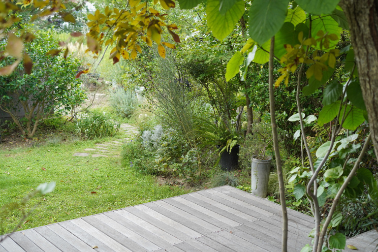 南側に設けた庭は夏は植物の茂り日差しを遮る緑のカーテンに
