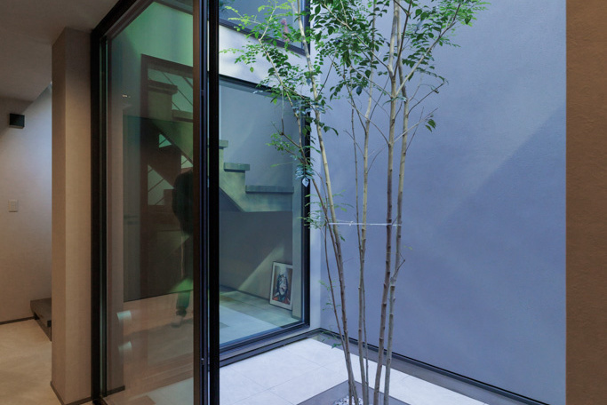 シマトネリコを植えた中庭