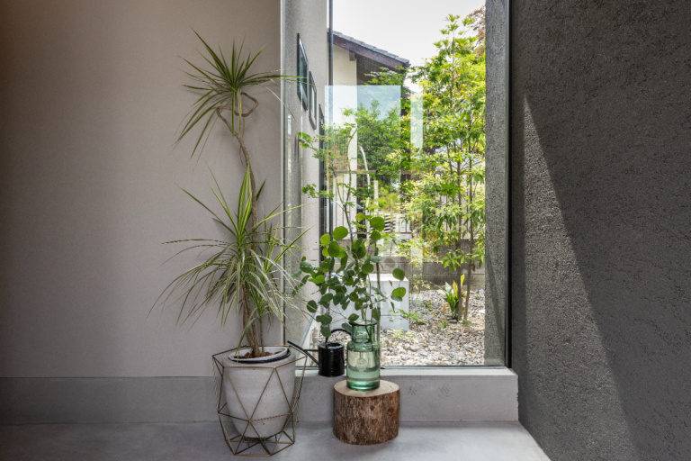 【大阪】モルタルの質感と植物のバランスを楽しむホール