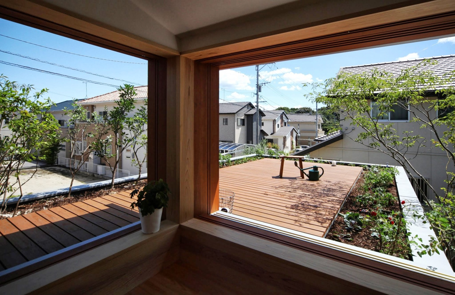 寝室から眺める屋上庭園