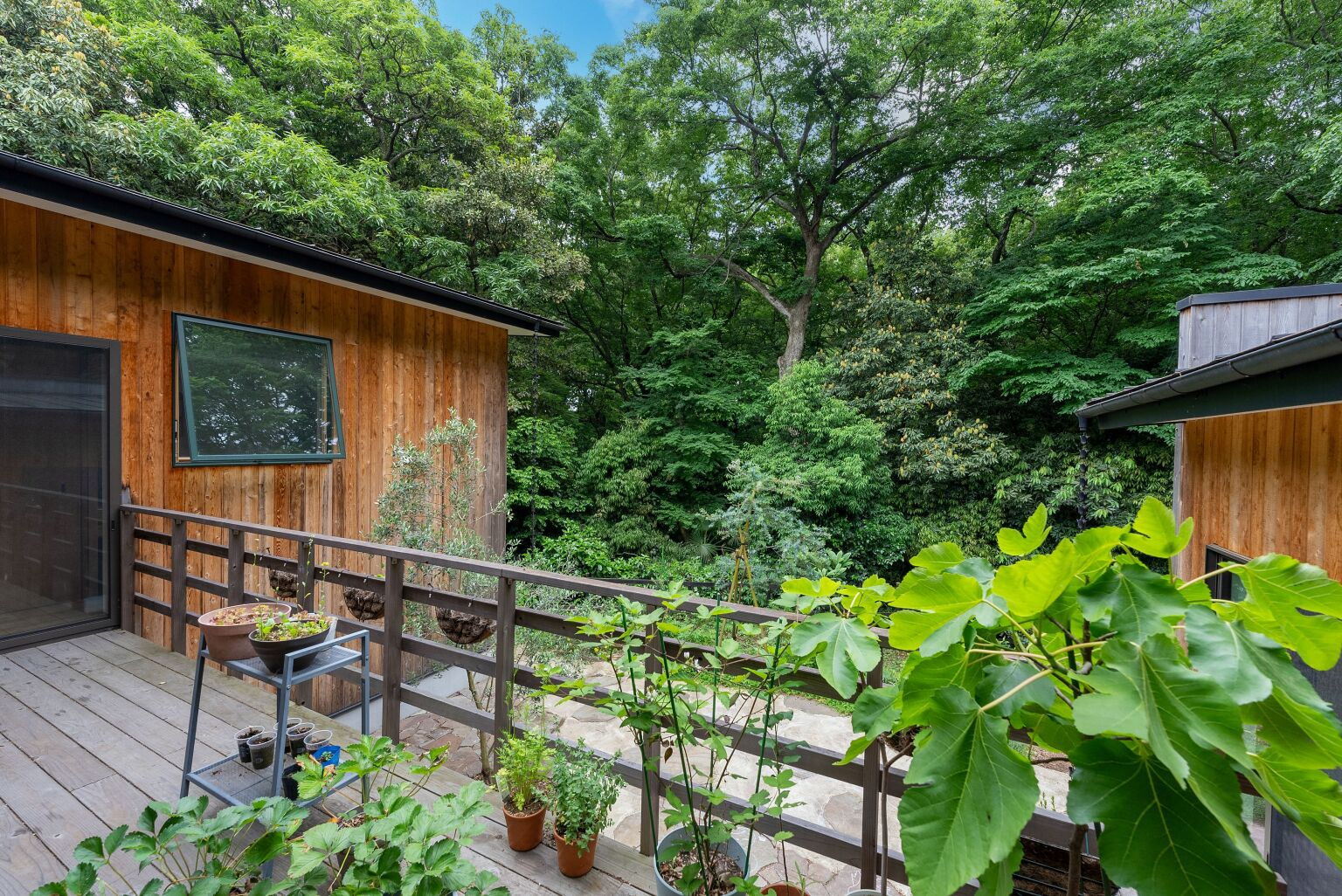 ウッドデッキでは好きな植物を育てて　木々の借景と