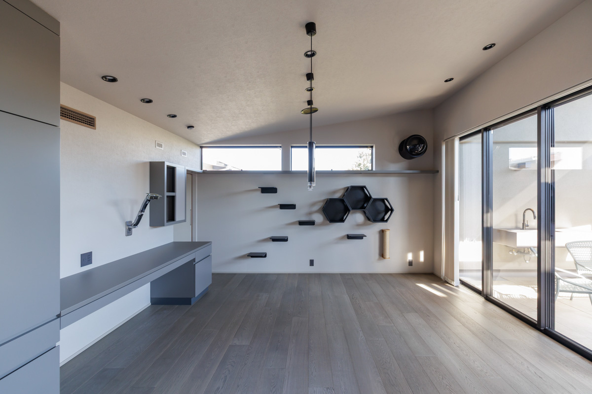 家族の暮らしと猫の遊びを両立したダイニング