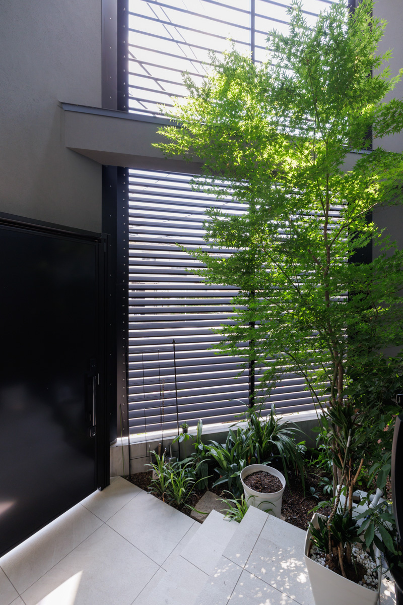 緑と光を取り込む、三角形のアプローチ空間