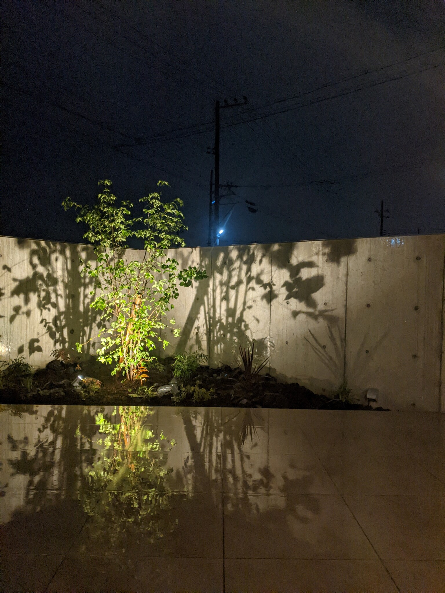 テラスの一角を彩る植栽でアウトドアリビングを癒しの空間に