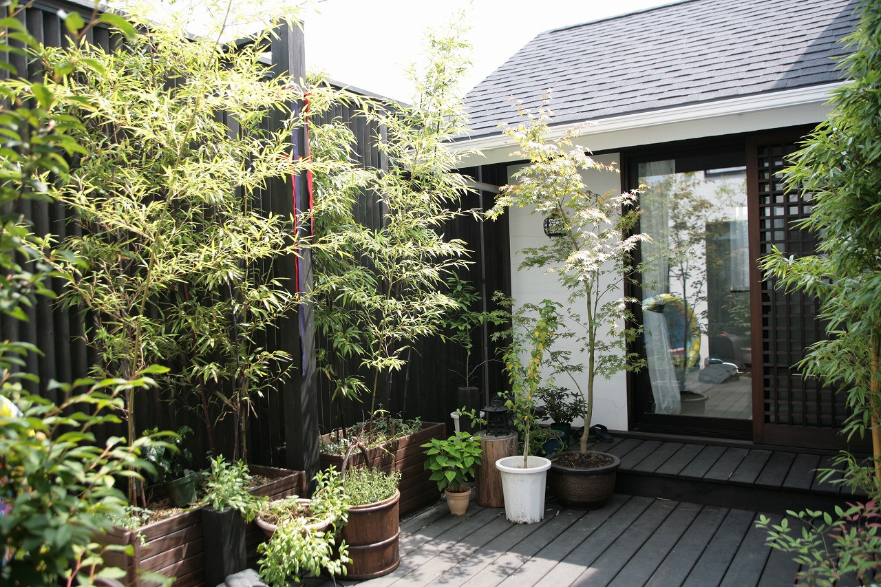 中庭がLDKと客間を繋ぐ