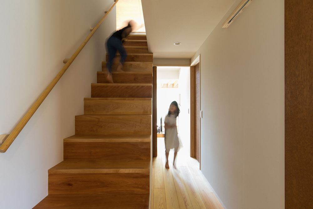 回遊動線の中心となるミズメザクラの階段