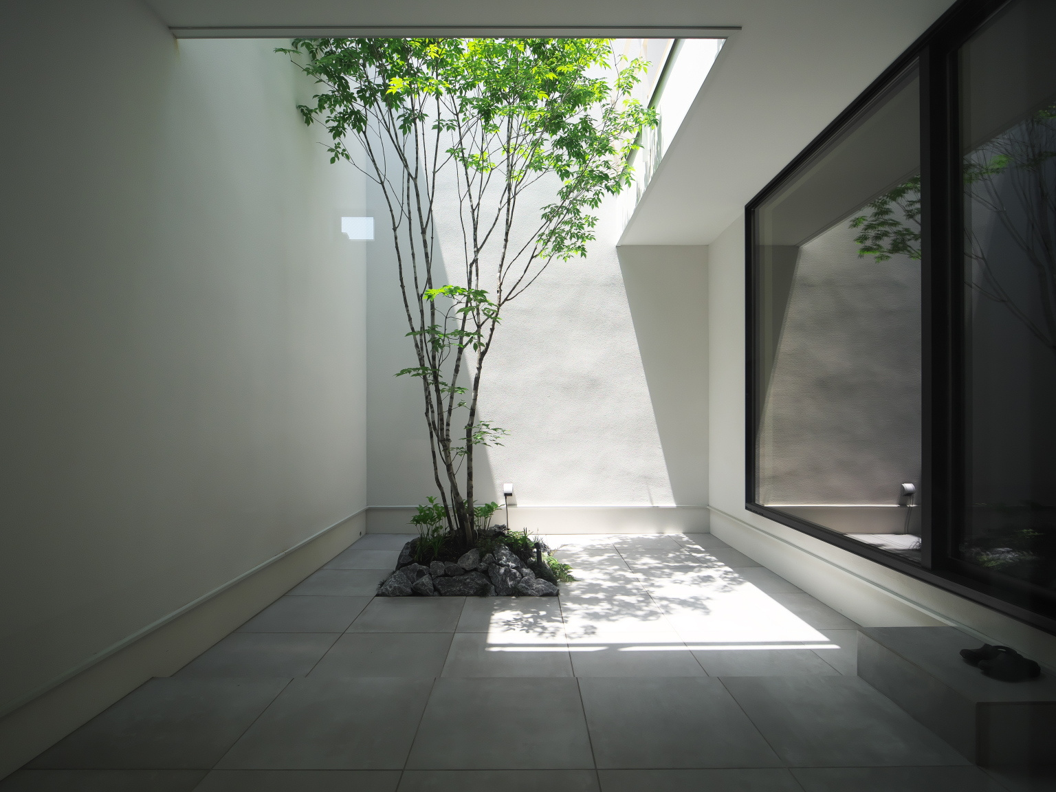 スッキリとした中庭で生活に緑を